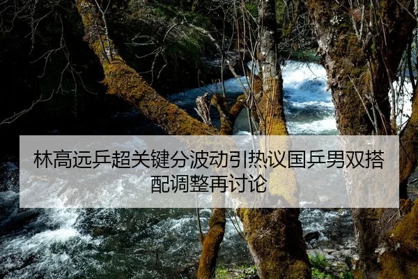 林高远乒超关键分波动引热议国乒男双搭配调整再讨论